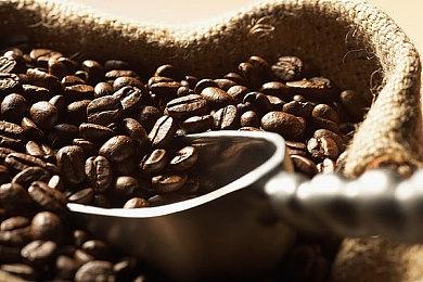 《吸血鬼：避世血族-血猎》夏季更新即将上线 将加入团队死亡竞赛